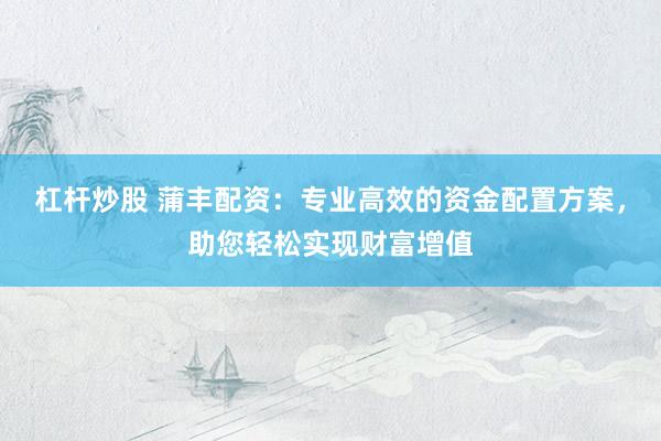 杠杆炒股 蒲丰配资：专业高效的资金配置方案，助您轻松实现财富增值