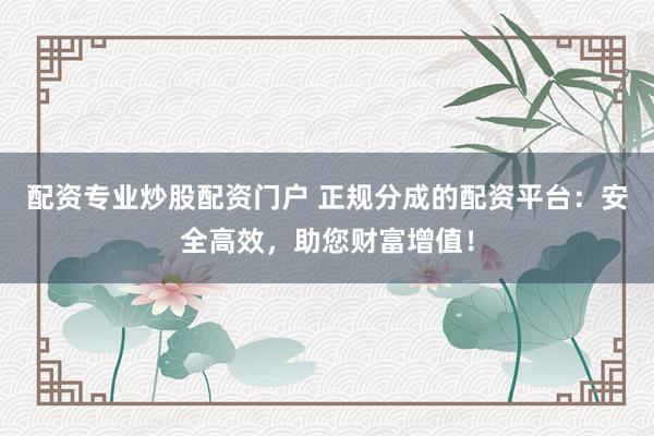 配资专业炒股配资门户 正规分成的配资平台：安全高效，助您财富增值！