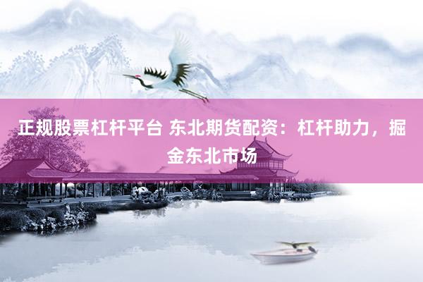 正规股票杠杆平台 东北期货配资：杠杆助力，掘金东北市场
