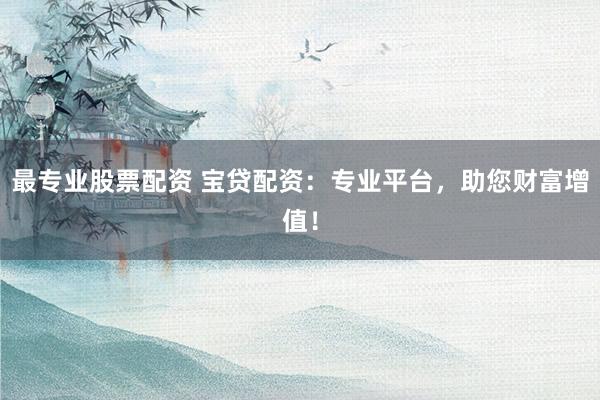 最专业股票配资 宝贷配资：专业平台，助您财富增值！