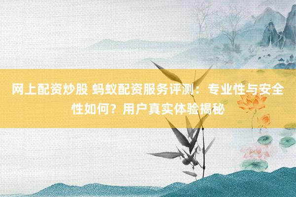 网上配资炒股 蚂蚁配资服务评测：专业性与安全性如何？用户真实体验揭秘