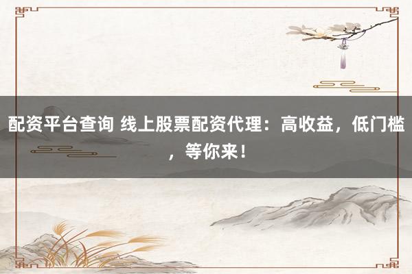 配资平台查询 线上股票配资代理：高收益，低门槛，等你来！