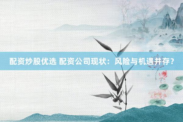 配资炒股优选 配资公司现状:风险与机遇并存?