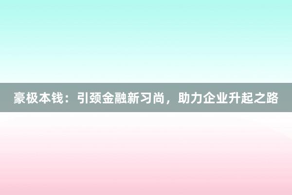 豪极本钱：引颈金融新习尚，助力企业升起之路