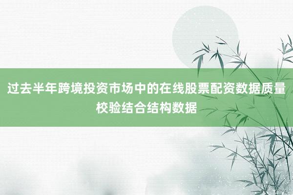 过去半年跨境投资市场中的在线股票配资数据质量校验结合结构数据