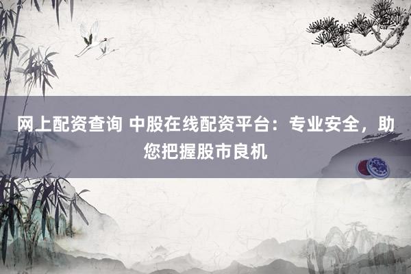 网上配资查询 中股在线配资平台：专业安全，助您把握股市良机